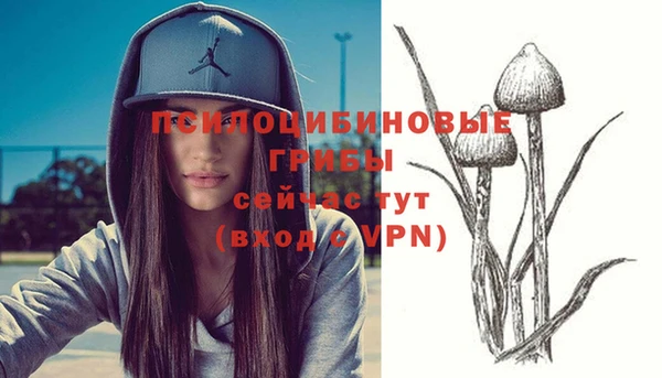 ешки Сатка